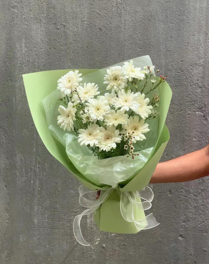 Trắng xanh tươi mát