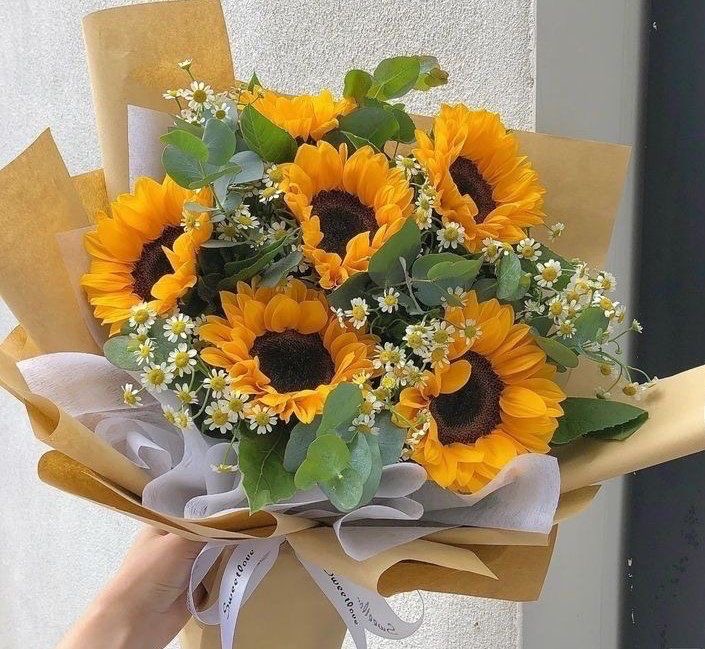 HƯỚNG DƯƠNG TỐT NGHIỆP